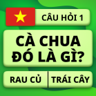 QuizzLand: Hỏi & Đáp Mod