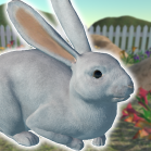 Rabbit Friends - caring games Mod